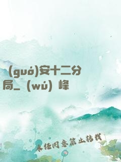 國(guó)安十二分局
