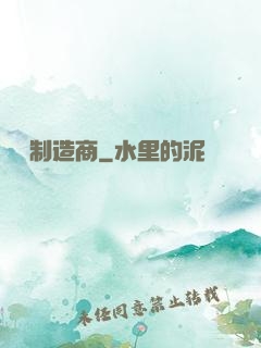 國際制造商