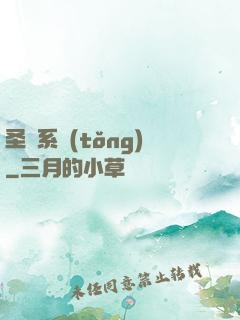 圣劍系統(tǒng)