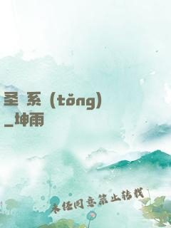 圣劍系統(tǒng)