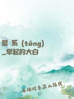 圣劍系統(tǒng)