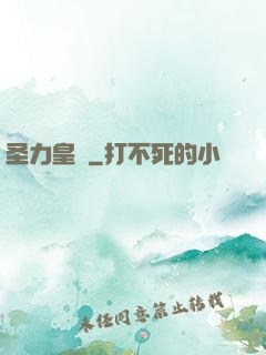 圣力皇決