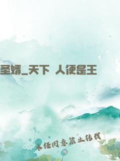 圣婿