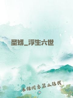 圣婿