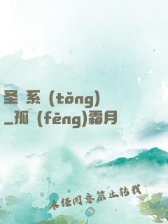 圣師系統(tǒng)