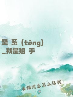 圣師系統(tǒng)