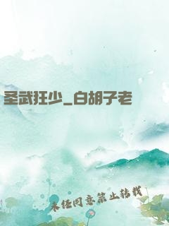 圣武狂少