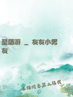 圣盾游戲