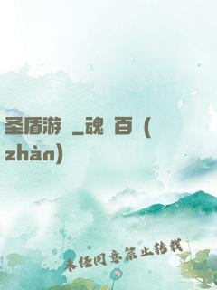 圣盾游戲