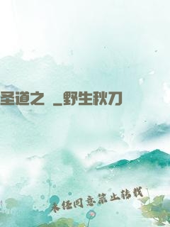 圣道之巔