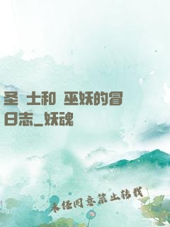 圣騎士和瘋巫妖的冒險日志
