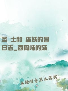 圣騎士和瘋巫妖的冒險日志