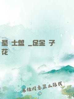 圣騎士盟約