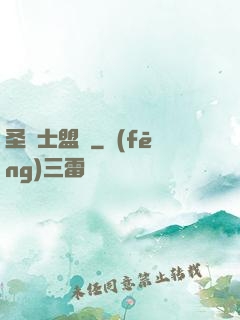 圣騎士盟約