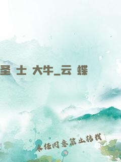 圣騎士趙大牛