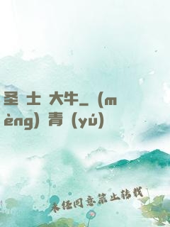 圣騎士趙大牛