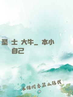 圣騎士趙大牛