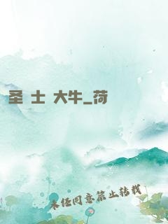 圣騎士趙大牛