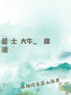 圣騎士趙大牛