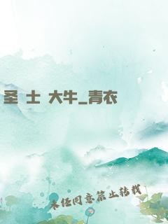 圣騎士趙大牛