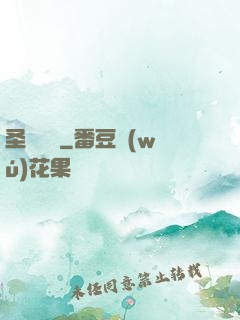 圣龍圖騰