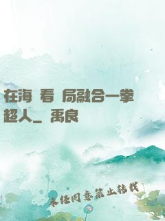 在海賊看開局融合一拳超人