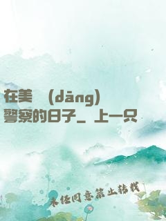 在美國當(dāng)警察的日子