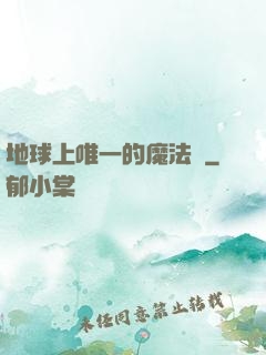 地球上唯一的魔法師