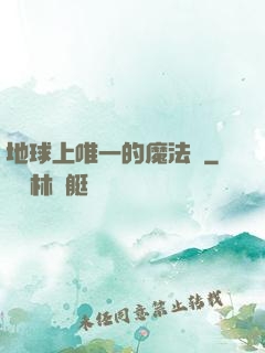 地球上唯一的魔法師