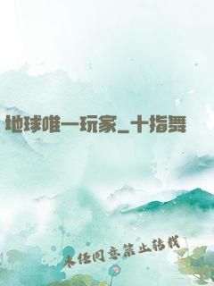 地球唯一玩家