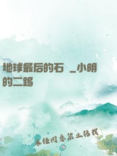 地球最后的石頭