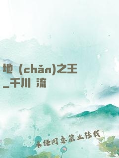 地產(chǎn)之王