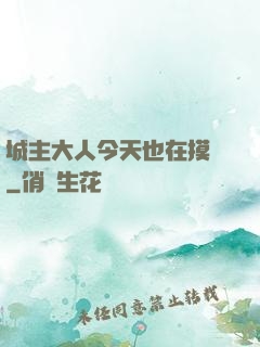 城主大人今天也在摸魚