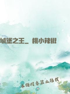 城堡之王