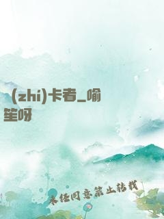 執(zhí)卡者