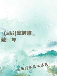 執(zhí)掌射雕