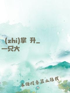 執(zhí)掌飛升