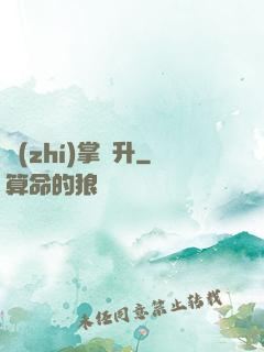 執(zhí)掌飛升