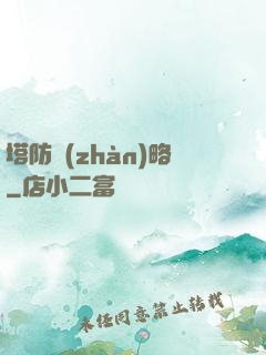 塔防戰(zhàn)略