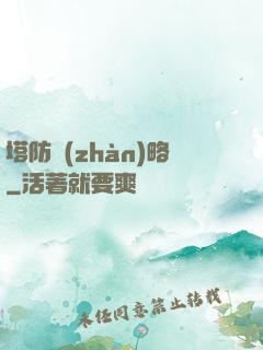 塔防戰(zhàn)略