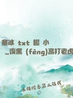 塞冰塊txt筆趣閣小說