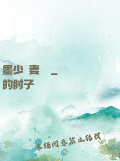 墨少寵妻奪愛