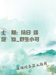 士無歸期：抗日從端個炮樓開始