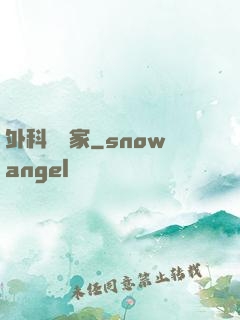 外科藝術家