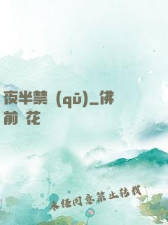 夜半禁區(qū)
