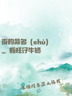 夜的命名術(shù)