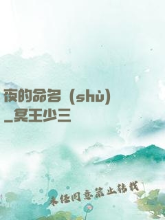 夜的命名術(shù)