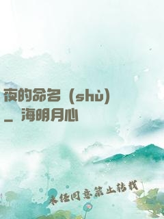夜的命名術(shù)