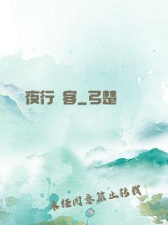 夜行駭客