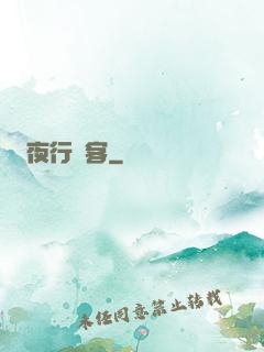 夜行駭客